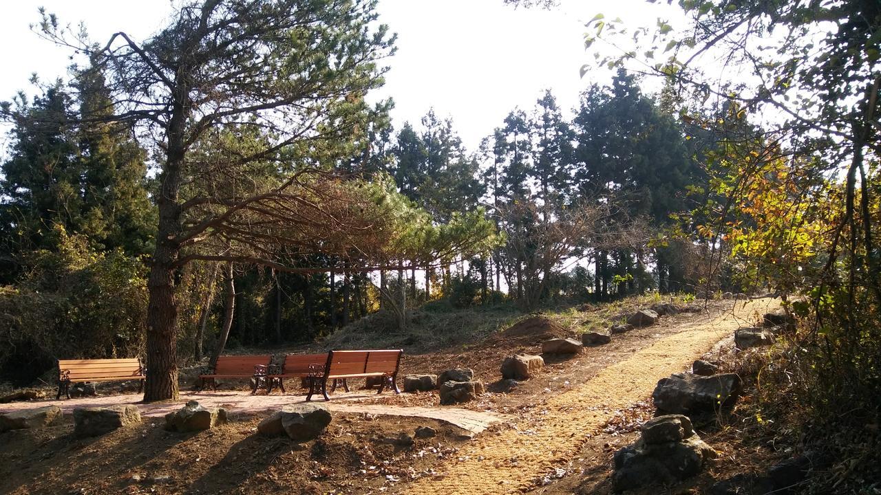 Jeju Youth Hostel Luaran gambar