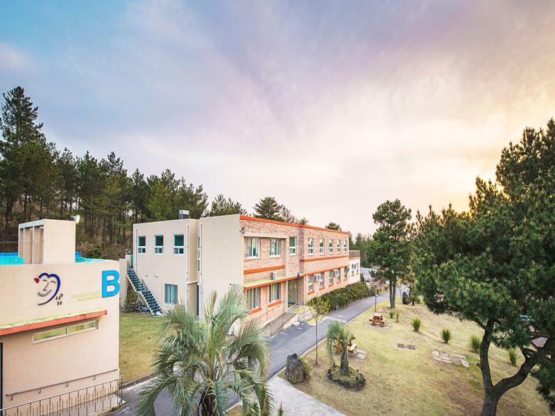 Jeju Youth Hostel Luaran gambar